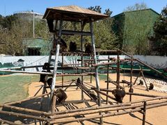 -西霞口神雕山野生动物世界