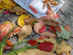 -白塘生态植物园