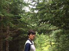 -芦芽山旅游度假区