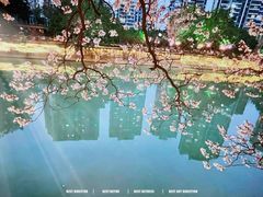 -红星桥(地铁站)