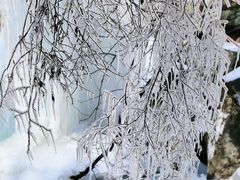 -少华山国家森林公园