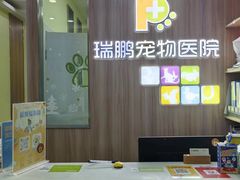 -瑞鹏宠物医院·宠保定点·心脏科·内科(御桥分院)