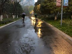 -青枫公园
