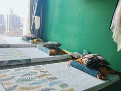 -泰乐道·SPA·按摩·足道(坡子街店)