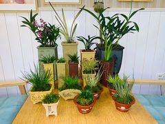 -Rabbit Cafe私房西餐甜点咖啡(栖霞路店)