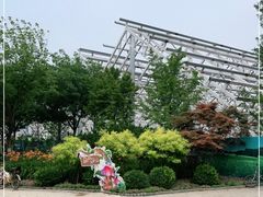 -南宫五洲植物乐园