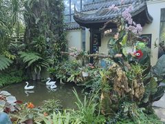 -东莞植物园