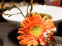 -北京大董烤鸭店(万象天地店)