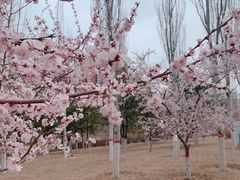 -城墙带状公园-大同古城墙广场停车场