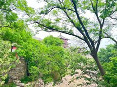 -北京凤凰岭