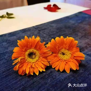 你已经照顾了全世界别忘了照顾你自己️