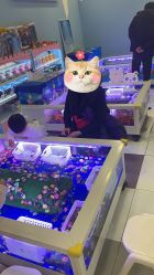 -孩子王(新北万达广场店)