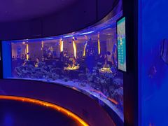 -上和臻品中国菜(花园街店)