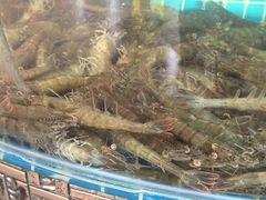 -蓝珊甄选海鲜自助·火锅大排档(近阿那亚店)