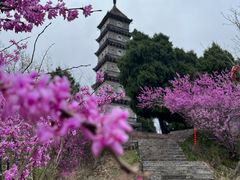 -天台山赤城山景区