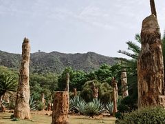 -深圳仙湖植物园
