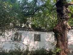 -西园戒幢律寺