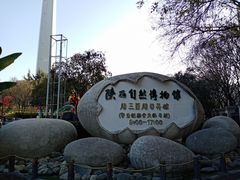 -陕西自然博物馆