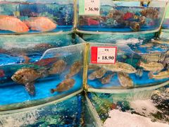 -AEON永旺(东方宝泰店)