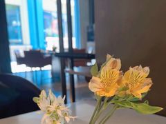 -拾久(朝阳公园店)