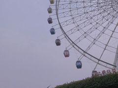 -琴岛之星摩天轮