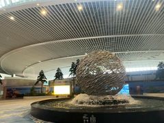 -青岛胶东国际机场