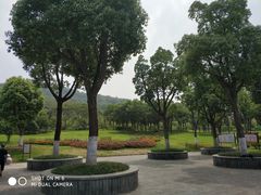 -习家池
