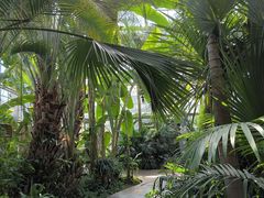 -国家植物园南园