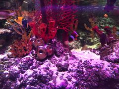 -沈阳海洋探索中心