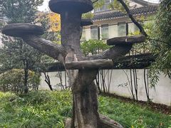 -汇龙潭
