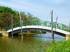-白塘生态植物园