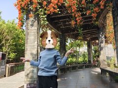 -广州神农草堂中医药博物馆