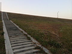 水库河鲜村-水库河鲜村