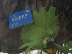 -国家植物园南园