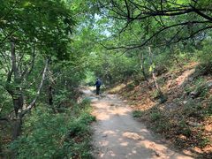 -鬼笑石后山停车场