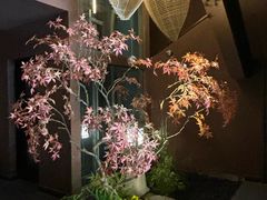 -椿杨樘·明康泡浴养生馆(重庆店)