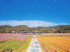 -红山村