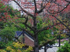 -广州中山纪念堂