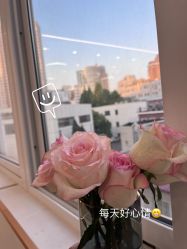 点击看大图 -亚太瑜伽普拉提学院