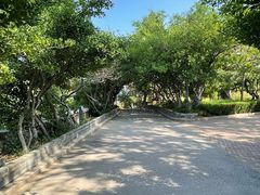 -烟台山景区