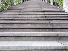 -铁山坪森林公园