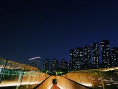 -南京眼步行桥