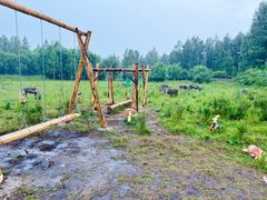 -莫尔道嘎国家森林公园