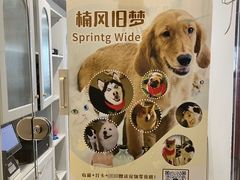 -共舞时光猫咖·狗咖(新街口店)