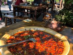 -青城甲(青城山店)