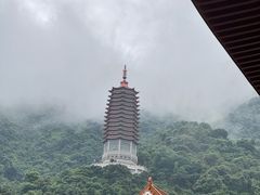 -深圳仙湖植物园
