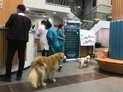 -联合动物医院(光谷诊疗中心)