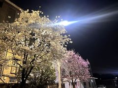 -豪德亨牛排自助餐厅(抚州东乡店)