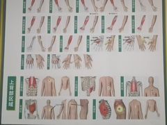 -通透堂中医·精准推拿(旗舰店)
