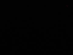 -解家河南菜(金水路店)